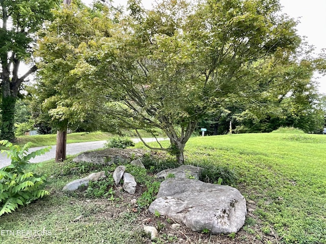 8220 Lucas Ln, Powell, TN 37849 - photo 3