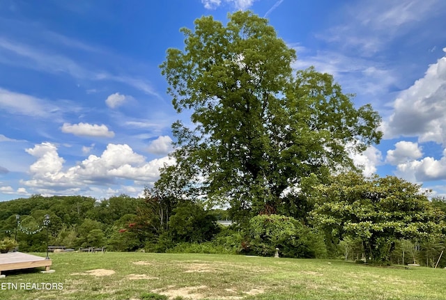 8220 Lucas Ln, Powell, TN 37849 - photo 9