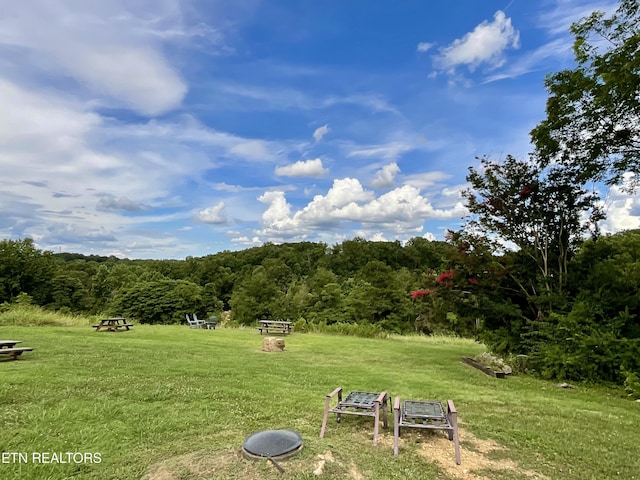 8220 Lucas Ln, Powell, TN 37849 - photo 10