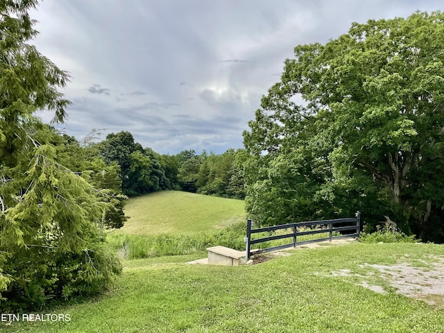 8220 Lucas Ln, Powell, TN 37849 - photo 12