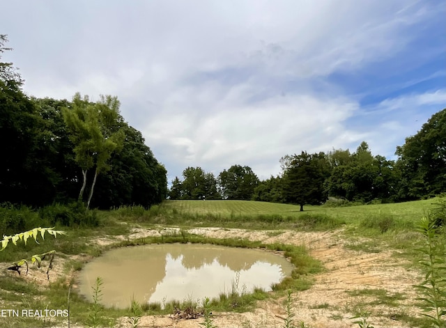 8220 Lucas Ln, Powell, TN 37849 - photo 13