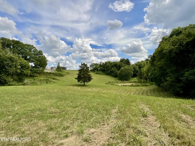 8220 Lucas Ln, Powell, TN 37849 - photo 15