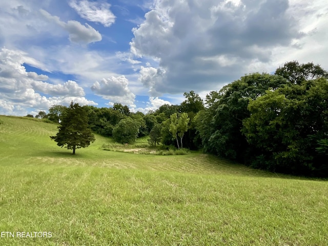 8220 Lucas Ln, Powell, TN 37849 - photo 16