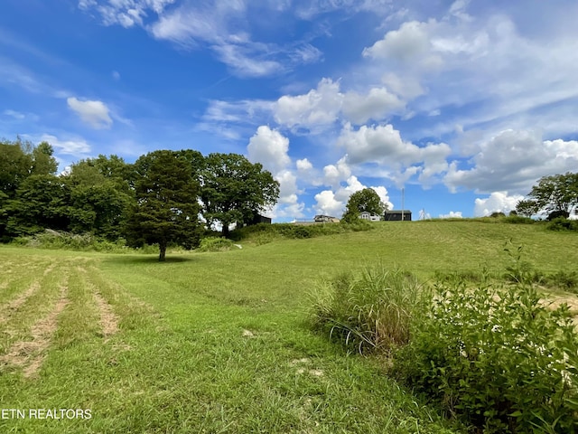8220 Lucas Ln, Powell, TN 37849 - photo 17