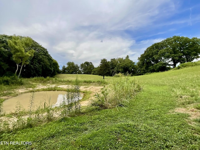 8220 Lucas Ln, Powell, TN 37849 - photo 19