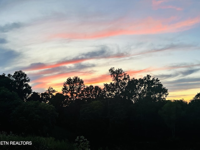 8220 Lucas Ln, Powell, TN 37849 - photo 32