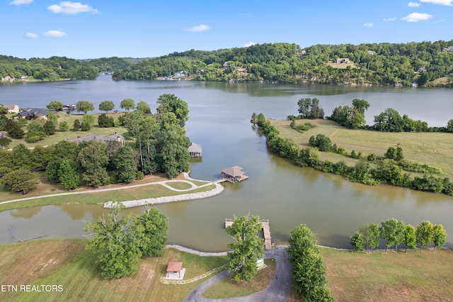 3746 Jackson Bend Dr, Louisville, TN 37777 - photo 45