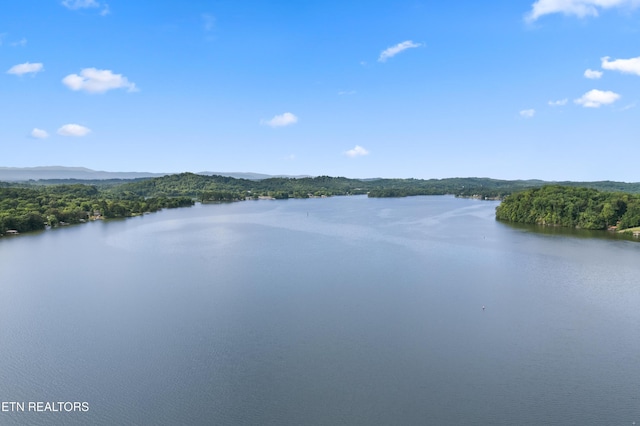 3746 Jackson Bend Dr, Louisville, TN 37777 - photo 46