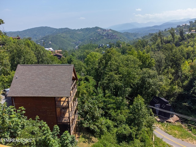 519 Edgewood Dr, Gatlinburg, TN 37738 - photo 41