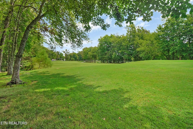 237 Forest Hill Dr, Crossville, TN 38558 - photo 44