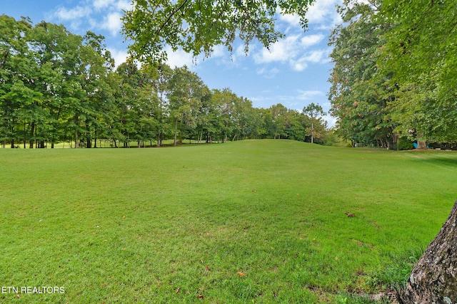 237 Forest Hill Dr, Crossville, TN 38558 - photo 45