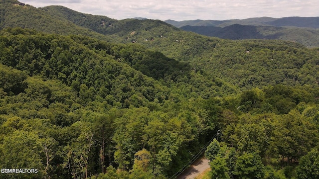 LOT007B Shagbark Hickory Rdg, Sevierville, TN 37862 - photo 6