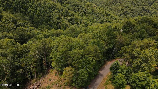 LOT007B Shagbark Hickory Rdg, Sevierville, TN 37862 - photo 7