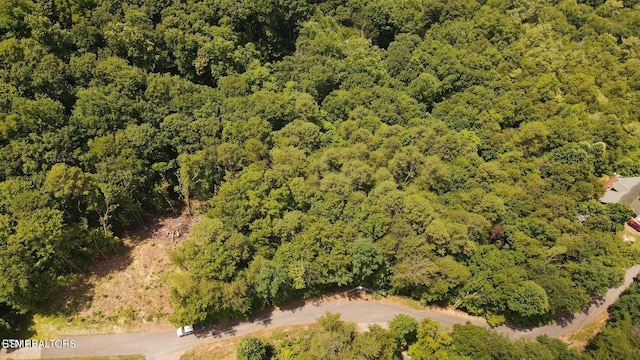 LOT007B Shagbark Hickory Rdg, Sevierville, TN 37862 - photo 8