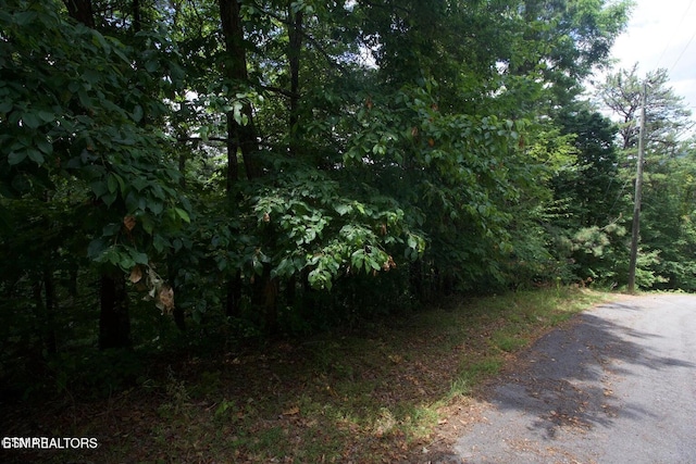 LOT007B Shagbark Hickory Rdg, Sevierville, TN 37862 - photo 5