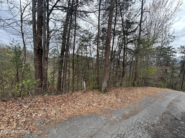 LOT007B Shagbark Hickory Rdg, Sevierville, TN 37862 - photo 2