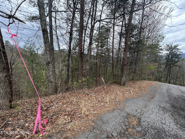 LOT007B Shagbark Hickory Rdg, Sevierville, TN 37862 - photo 1