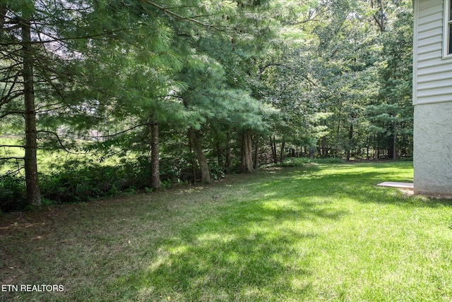 13 Kenwood Ct, Crossville, TN 38558 - photo 34