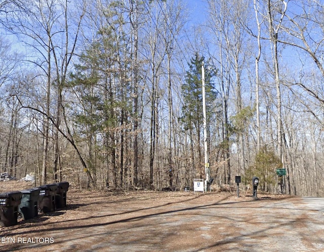 2301 Rocky Top Rd, Lenoir City, TN 37771 - photo 2