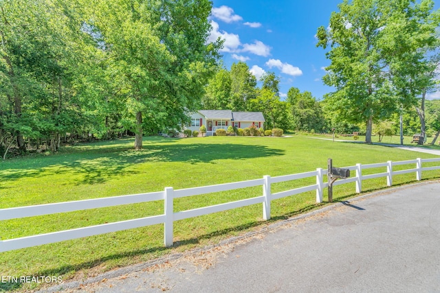 188 Cornell Dr, Rockwood, TN 37854 - photo 6
