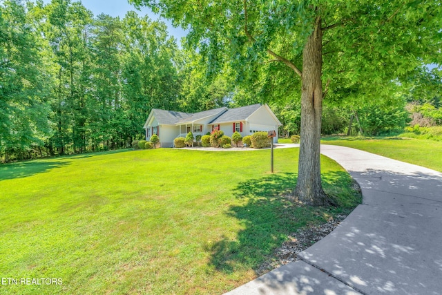 188 Cornell Dr, Rockwood, TN 37854 - photo 8