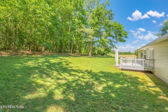 188 Cornell Dr, Rockwood, TN 37854 - photo 43