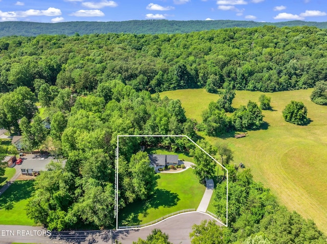 188 Cornell Dr, Rockwood, TN 37854 - photo 3