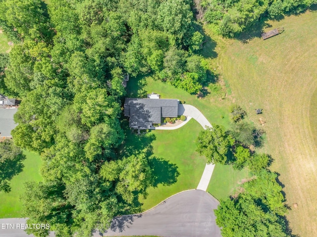 188 Cornell Dr, Rockwood, TN 37854 - photo 45