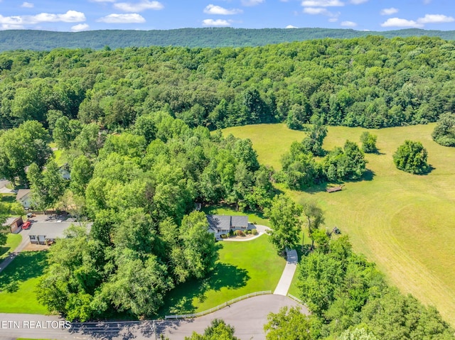 188 Cornell Dr, Rockwood, TN 37854 - photo 46