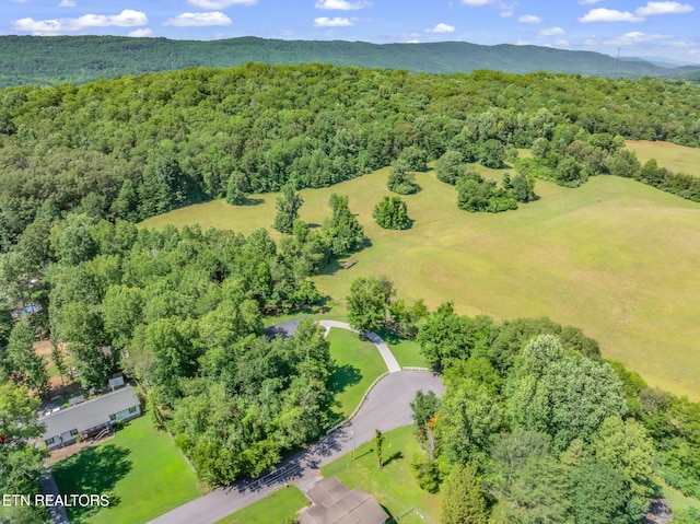 188 Cornell Dr, Rockwood, TN 37854 - photo 47