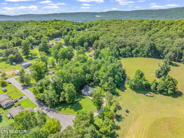 188 Cornell Dr, Rockwood, TN 37854 - photo 49