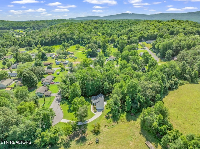 188 Cornell Dr, Rockwood, TN 37854 - photo 50