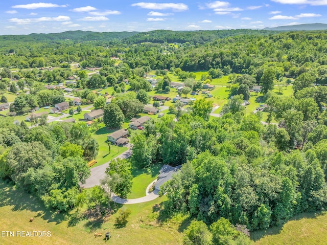 188 Cornell Dr, Rockwood, TN 37854 - photo 51
