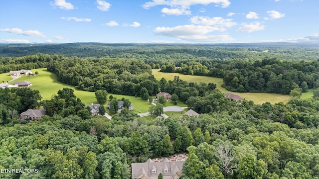 230 Tomlon Rd, Crossville, TN 38555 - photo 43