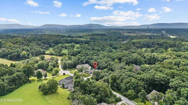230 Tomlon Rd, Crossville, TN 38555 - photo 42