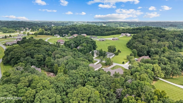 230 Tomlon Rd, Crossville, TN 38555 - photo 44