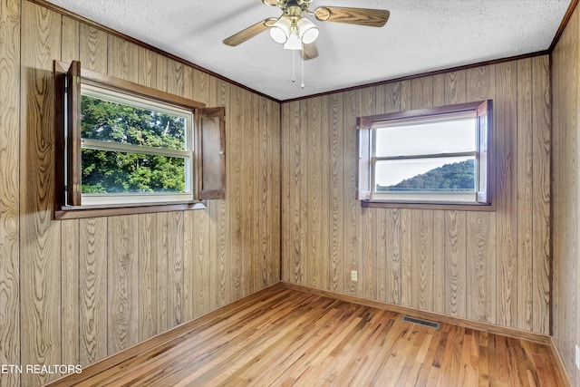 8125 Hall Rd, Knoxville, TN 37920 - photo 12