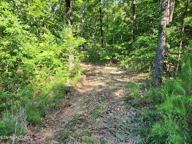 5027 Allegheny Cove Way, Maryville, TN 37803 - photo 3