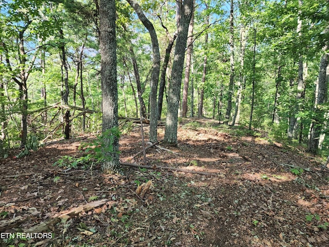 5027 Allegheny Cove Way, Maryville, TN 37803 - photo 15