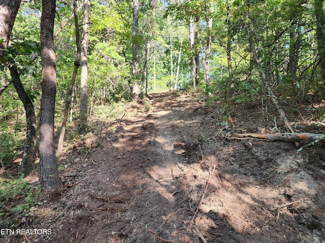 5027 Allegheny Cove Way, Maryville, TN 37803 - photo 11