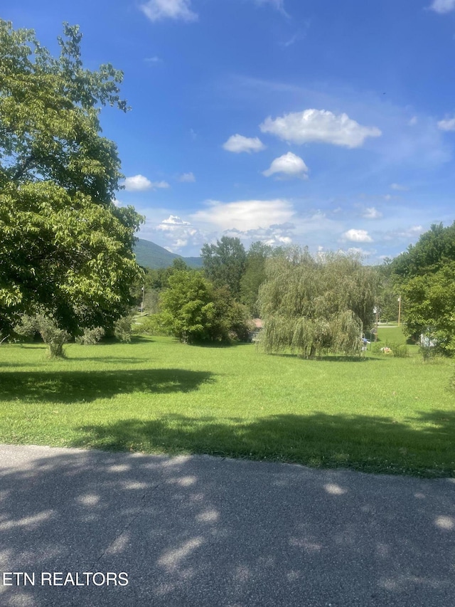 LOT5 Powell Valley Shores Cir, Speedwell, TN 37870 - photo 3