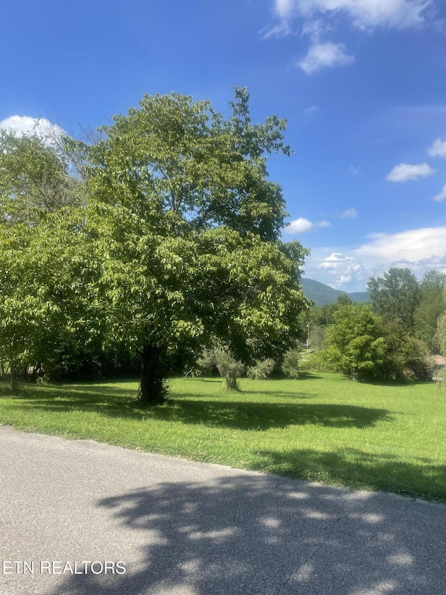 LOT5 Powell Valley Shores Cir, Speedwell, TN 37870 - photo 7