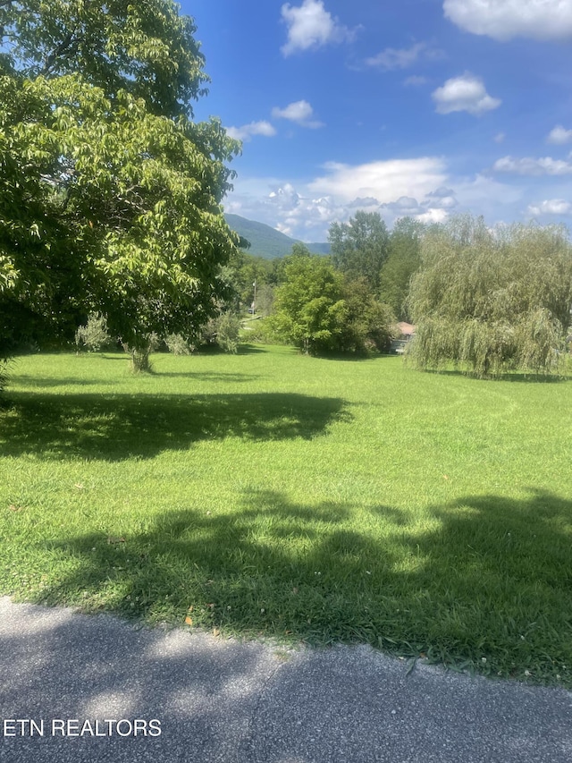 LOT5 Powell Valley Shores Cir, Speedwell, TN 37870 - photo 2