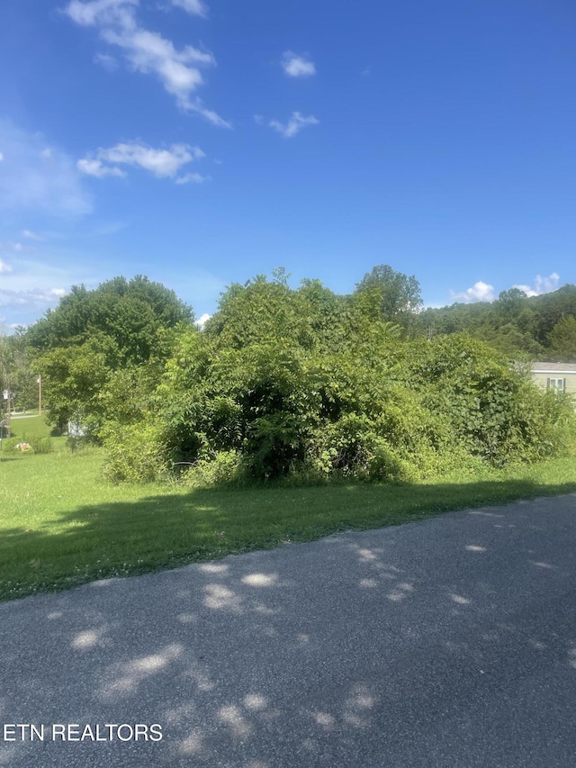 LOT5 Powell Valley Shores Cir, Speedwell, TN 37870 - photo 8