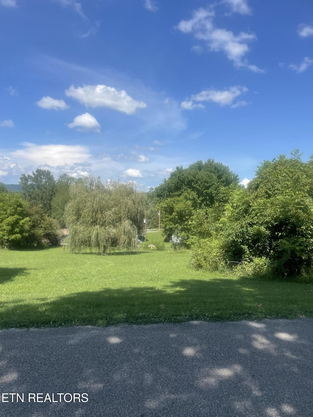 LOT5 Powell Valley Shores Cir, Speedwell, TN 37870 - photo 5