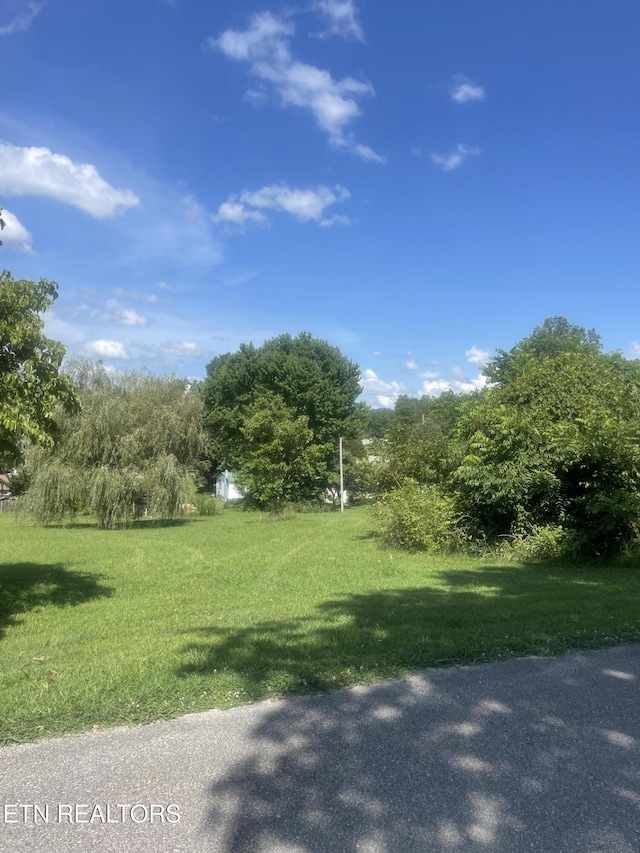 LOT5 Powell Valley Shores Cir, Speedwell, TN 37870 - photo 6