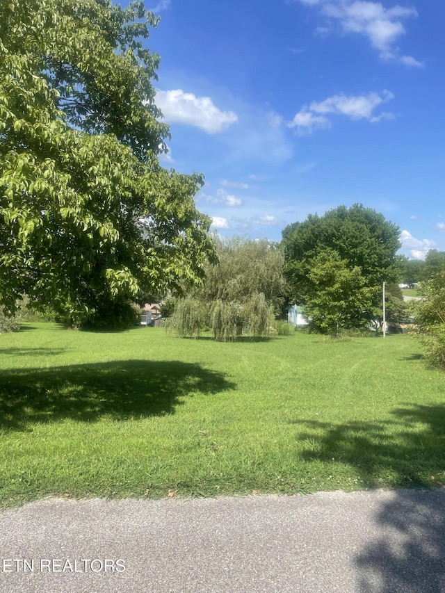 LOT5 Powell Valley Shores Cir, Speedwell, TN 37870 - photo 10