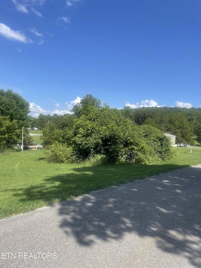 LOT5 Powell Valley Shores Cir, Speedwell, TN 37870 - photo 11