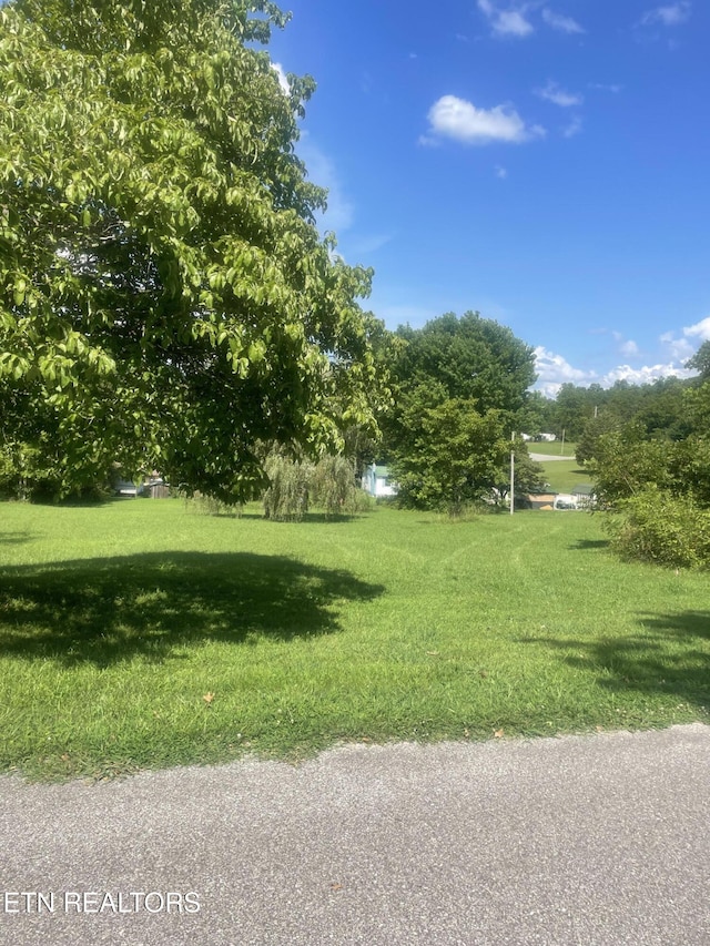 LOT5 Powell Valley Shores Cir, Speedwell, TN 37870 - photo 4