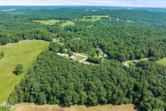 5661 Willow Grove Hwy, Allons, TN 38541 - photo 14